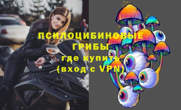 дживик Алексеевка