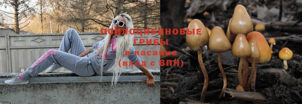 дживик Алексеевка