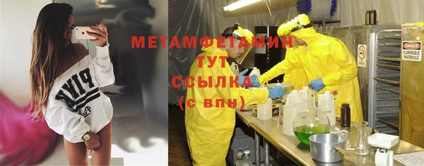 трава Наволоки