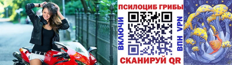 Псилоцибиновые грибы мухоморы  как найти наркотики  Курск 